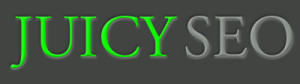 Juicy SEO Logo