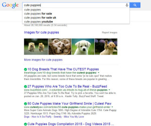 Google Predictive Search