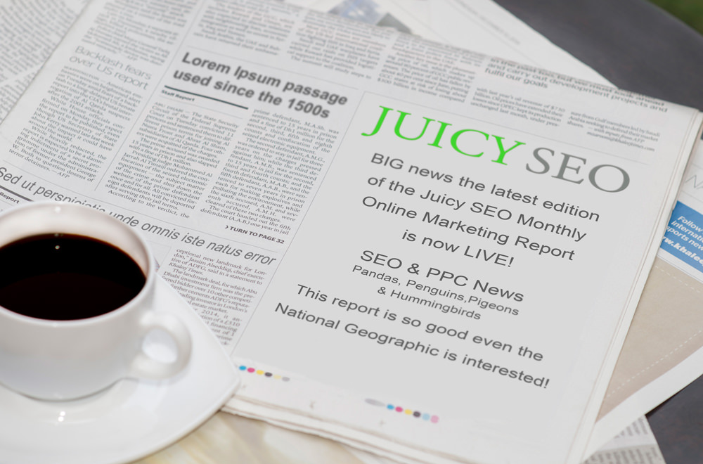Juicy SEO Monthly SEO Report - Newspaper National Geographic