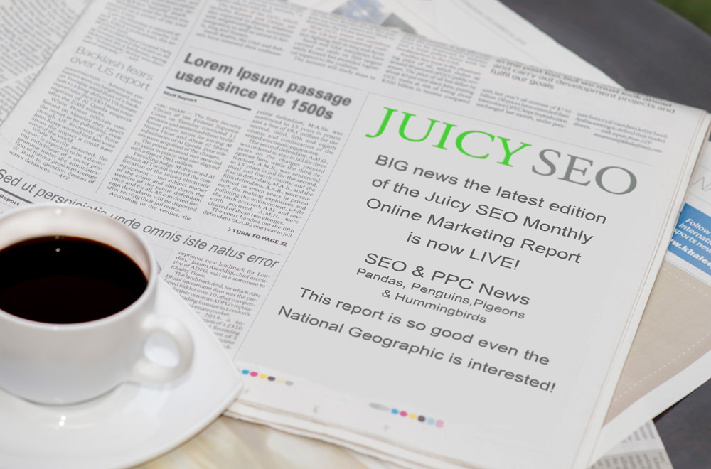 Juicy SEO Monthly SEO Report – Newspaper National Geographic