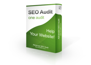 One Advanced SEO Audit